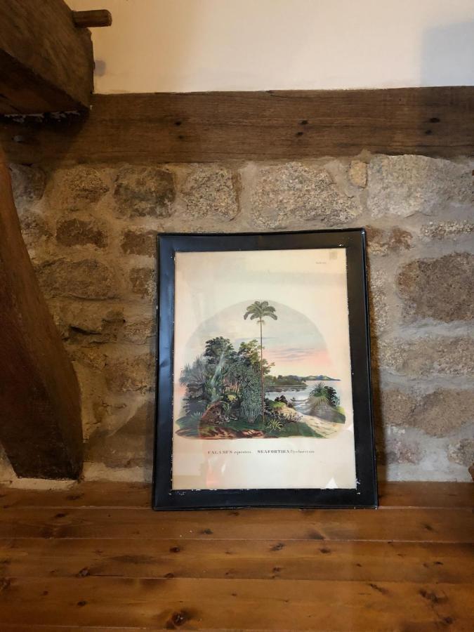La Canopee Du Mont Saint-Georges-de-Reintembault Bagian luar foto